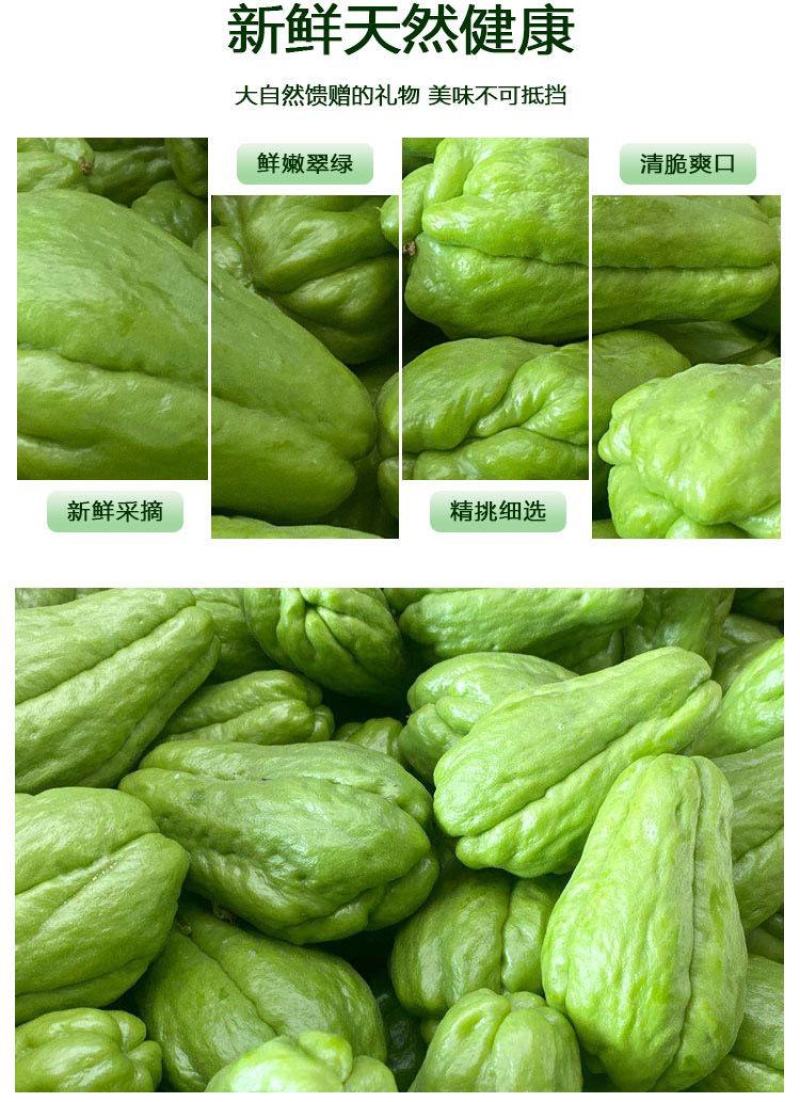 【产地直】【一件代发】货源稳定云南新鲜佛手瓜整箱包邮