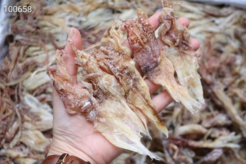 中号鱿鱼头,