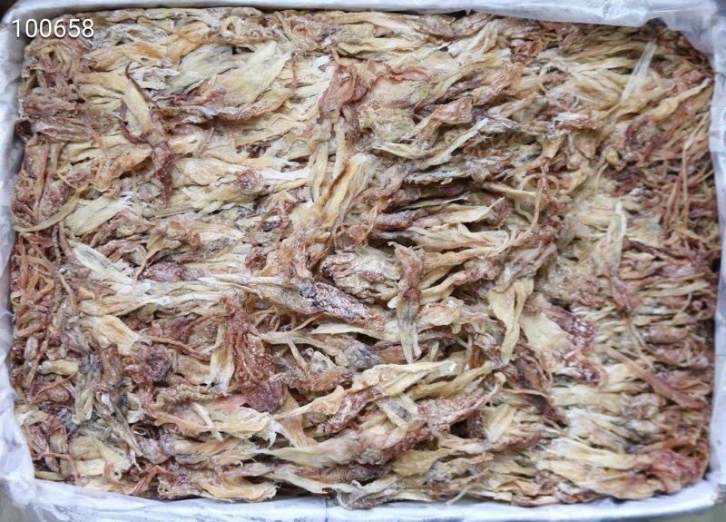 中号鱿鱼头,