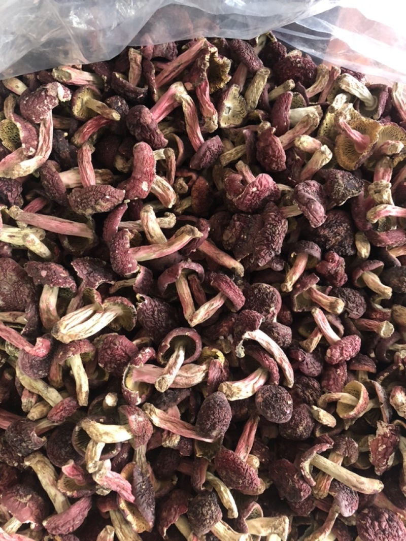 大红菇，红蘑菇
