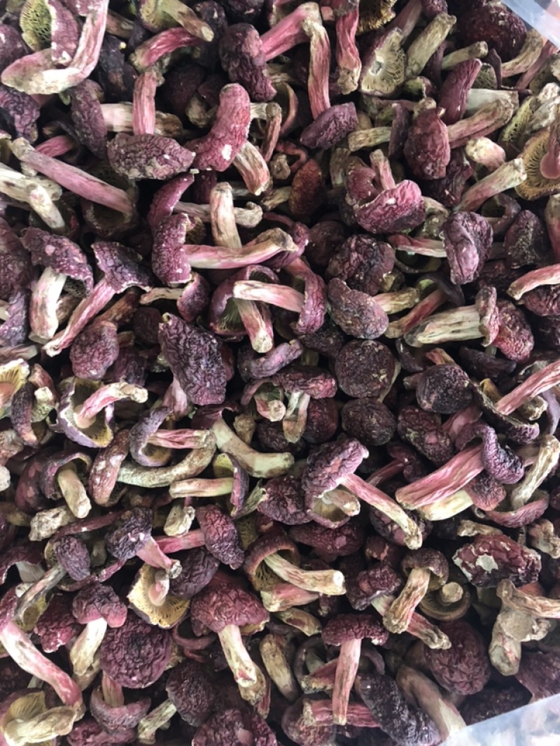 大红菇，红蘑菇