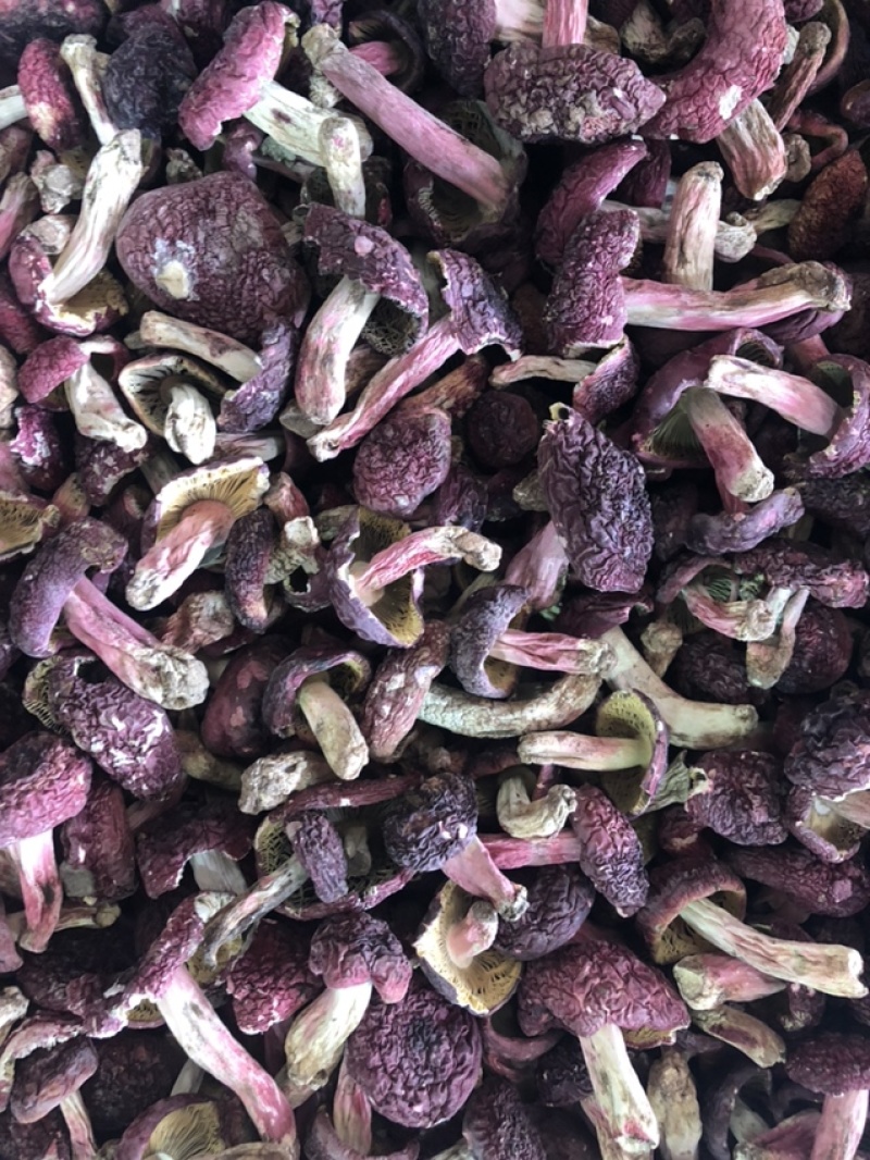 大红菇，红蘑菇