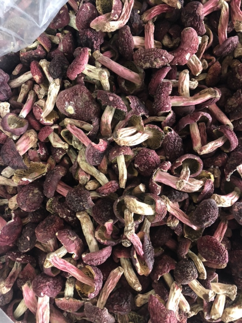 大红菇，红蘑菇