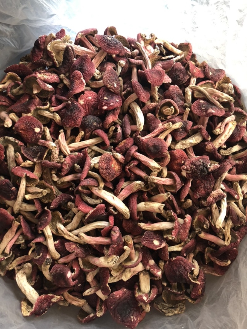 大红菇，红蘑菇
