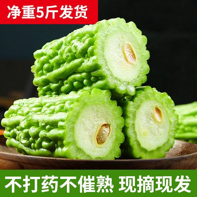 【产地直发】【一件代发】新鲜苦瓜农家自种蔬菜现摘现发包邮
