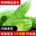 【产地直发】【一件代发】新鲜苦瓜农家自种蔬菜现摘现发包邮