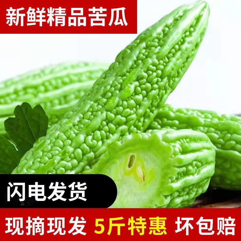 【产地直发】【一件代发】新鲜苦瓜农家自种蔬菜现摘现发包邮