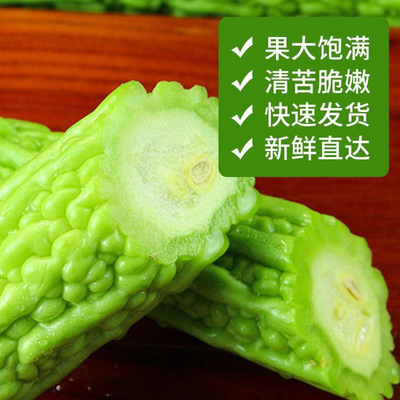 【产地直发】【一件代发】新鲜苦瓜农家自种蔬菜现摘现发包邮