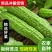 【产地直发】【一件代发】新鲜苦瓜农家自种蔬菜现摘现发包邮