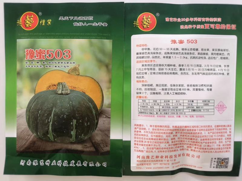 贝贝南瓜种子