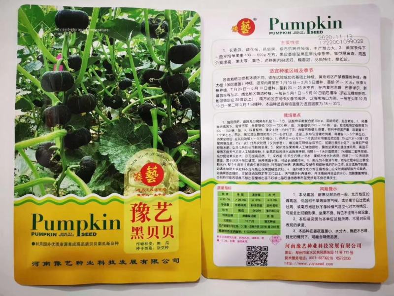 贝贝南瓜种子