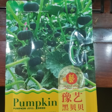 贝贝南瓜种子