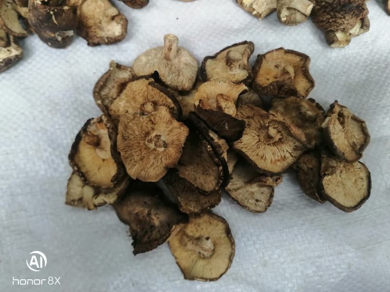干香菇薄片大片中片小片带卷边泌阳香菇特产产区直供无杂质