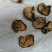 干香菇薄片大片中片小片带卷边泌阳香菇特产产区直供无杂质