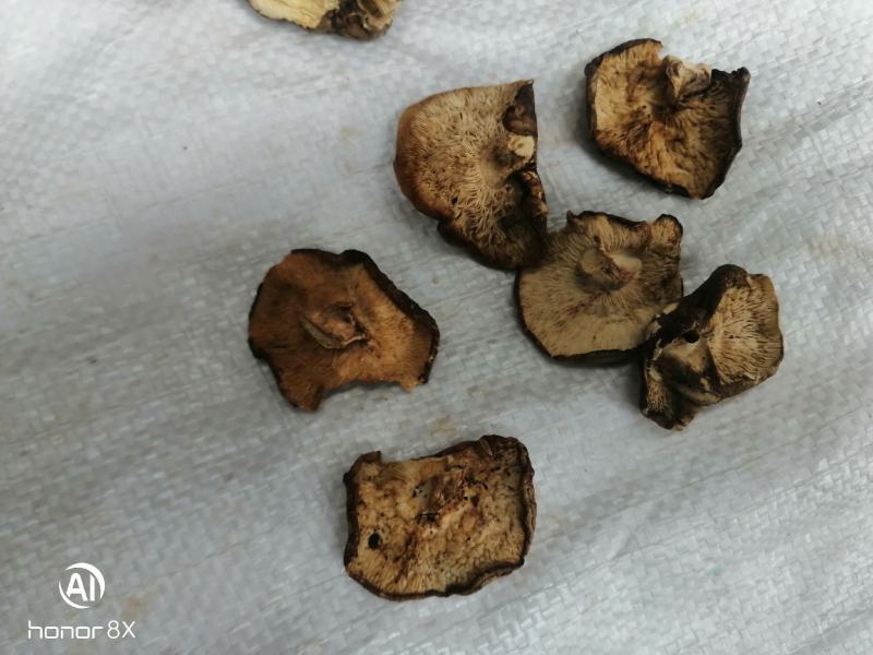 干香菇薄片大片中片小片带卷边泌阳香菇特产产区直供无杂质