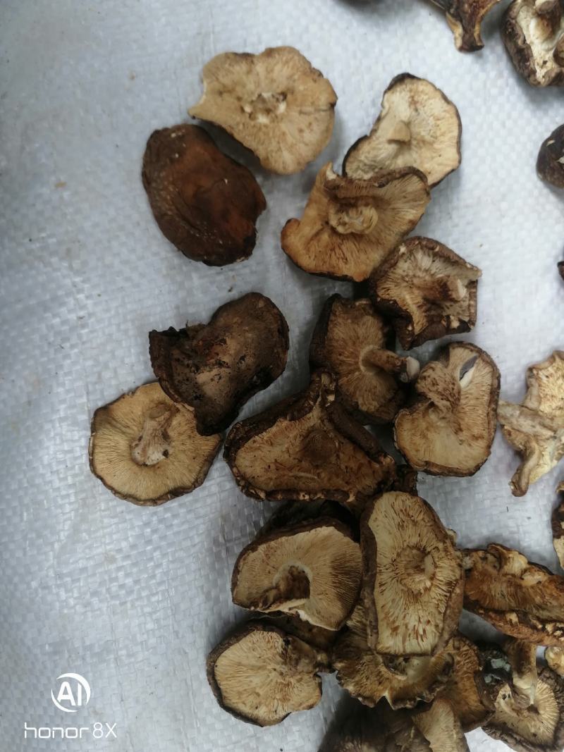 干香菇薄片大片中片小片带卷边泌阳香菇特产产区直供无杂质
