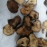 干香菇薄片大片中片小片带卷边泌阳香菇特产产区直供无杂质