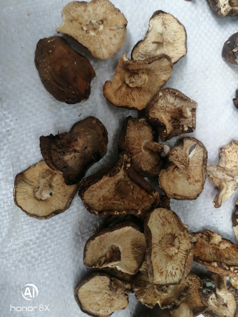 干香菇薄片大片中片小片带卷边泌阳香菇特产产区直供无杂质