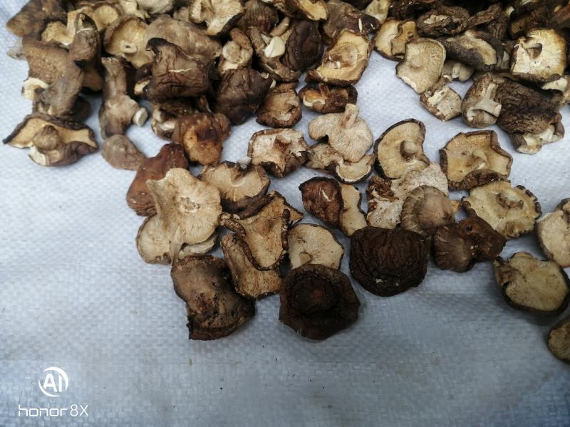 干香菇薄片大片中片小片带卷边泌阳香菇特产产区直供无杂质