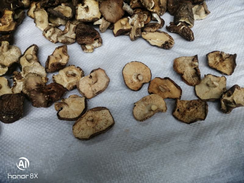 干香菇薄片大片中片小片带卷边泌阳香菇特产产区直供无杂质
