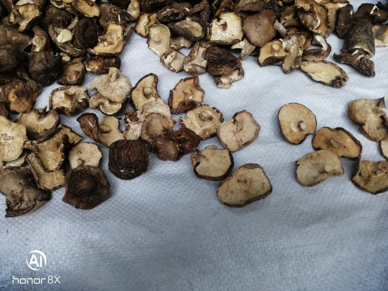 干香菇薄片大片中片小片带卷边泌阳香菇特产产区直供无杂质