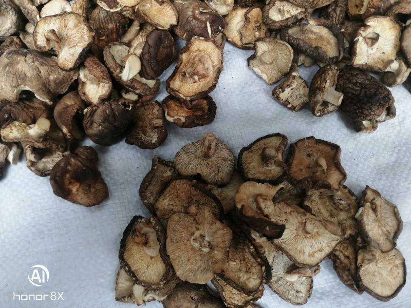 干香菇薄片大片中片小片带卷边泌阳香菇特产产区直供无杂质