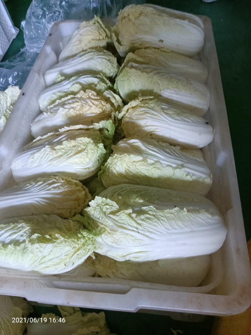 【热卖】云南昭通娃娃菜，量大质优，欢迎咨询