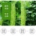 【产地直发】【一件代发】新鲜苦瓜农家自种蔬菜现摘现发包邮