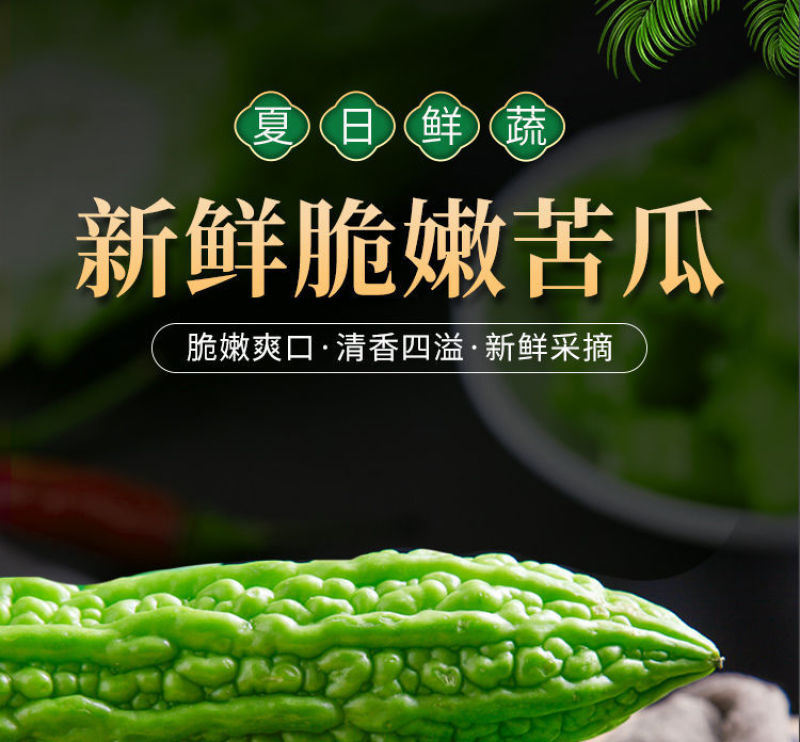 【产地直发】【一件代发】新鲜苦瓜农家自种蔬菜现摘现发包邮