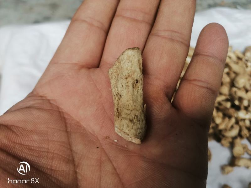 干香菇腿双剪菇腿净度90%以上手工分拣无胶纸泌阳原产直供