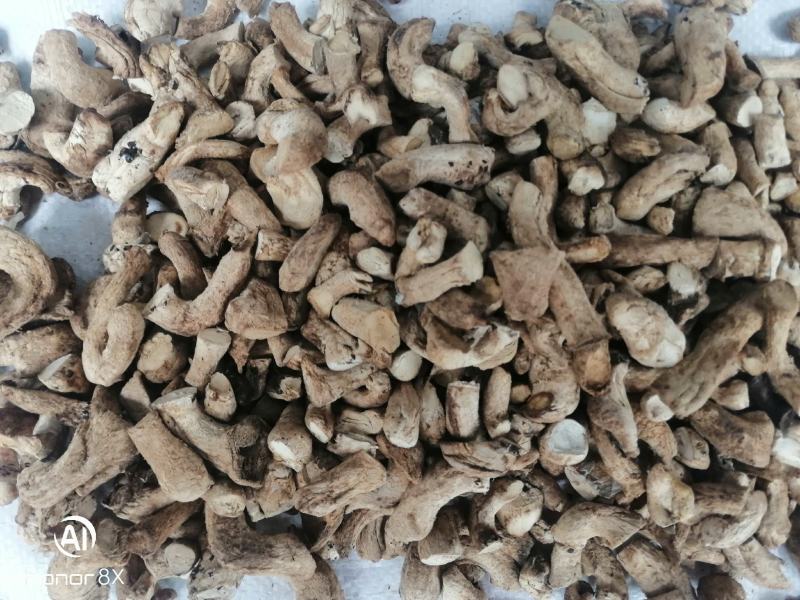干香菇腿双剪菇腿净度90%以上手工分拣无胶纸泌阳原产直供