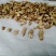 干香菇腿双剪菇腿净度90%以上手工分拣无胶纸泌阳原产直供