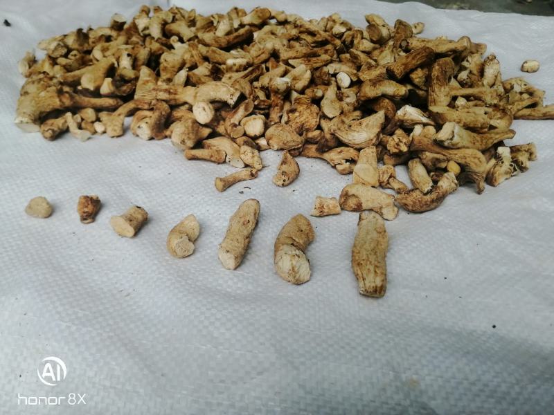 干香菇腿双剪菇腿净度90%以上手工分拣无胶纸泌阳原产直供