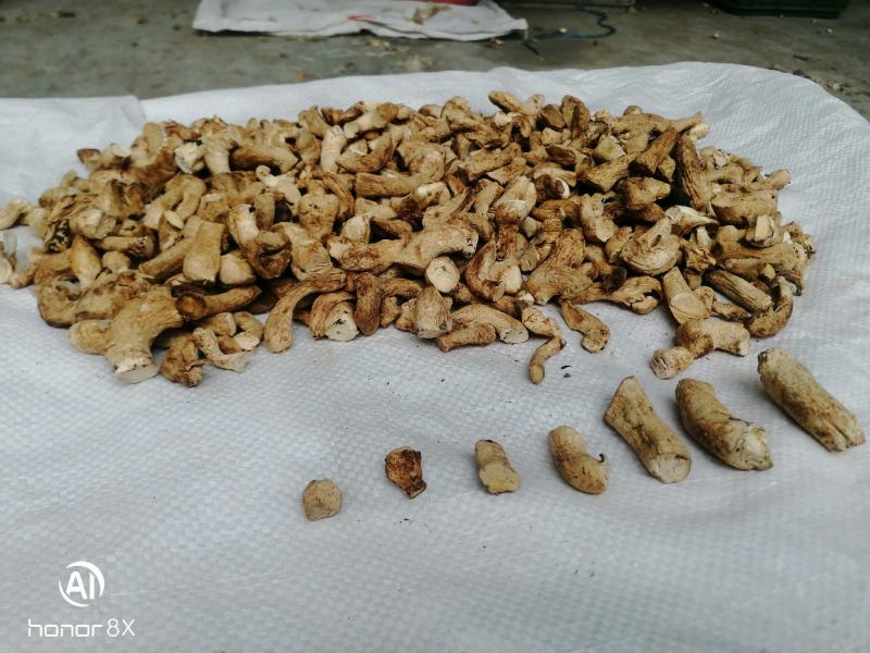 干香菇腿双剪菇腿净度90%以上手工分拣无胶纸泌阳原产直供