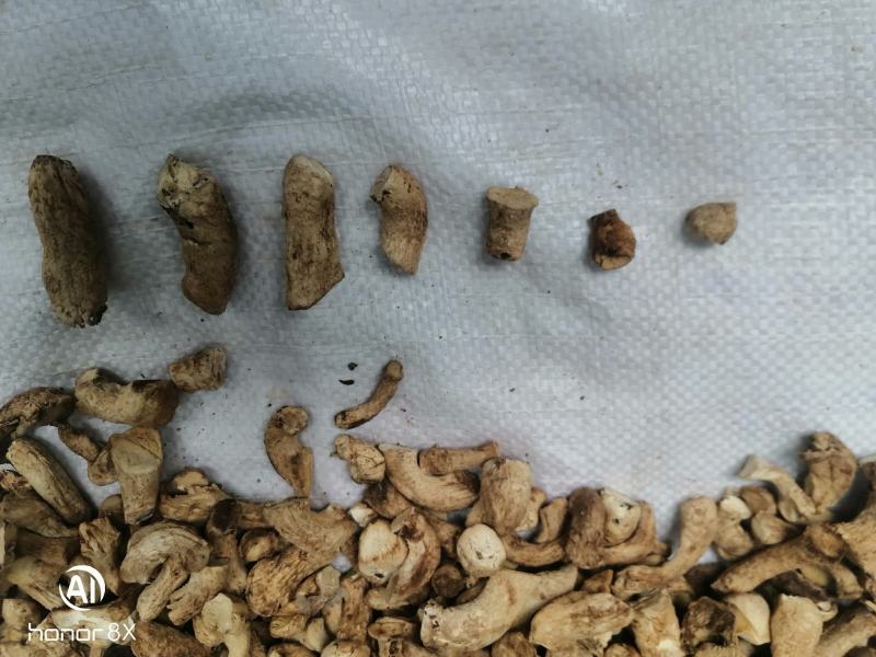 干香菇腿双剪菇腿净度90%以上手工分拣无胶纸泌阳原产直供