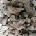 干香菇腿双剪菇腿净度90%以上手工分拣无胶纸泌阳原产直供