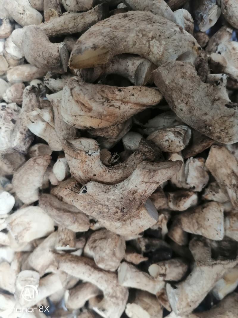 干香菇腿双剪菇腿净度90%以上手工分拣无胶纸泌阳原产直供