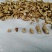 干香菇腿双剪菇腿净度90%以上手工分拣无胶纸泌阳原产直供