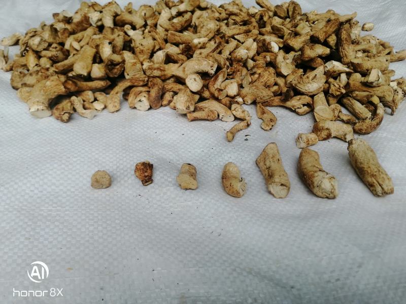 干香菇腿双剪菇腿净度90%以上手工分拣无胶纸泌阳原产直供