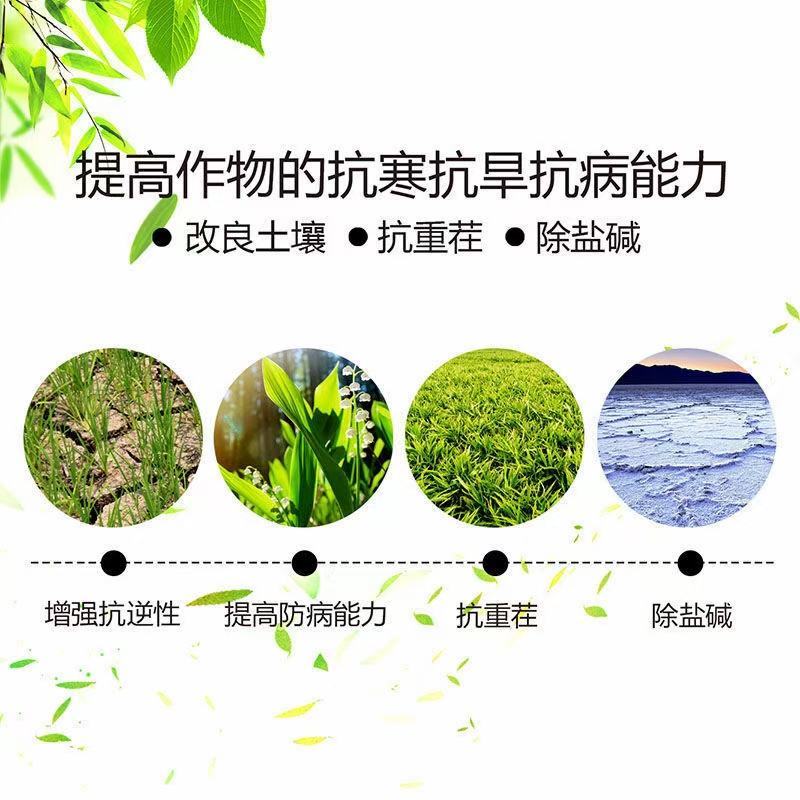矿源黄腐酸钾生根捉苗抗茬防病提高肥效