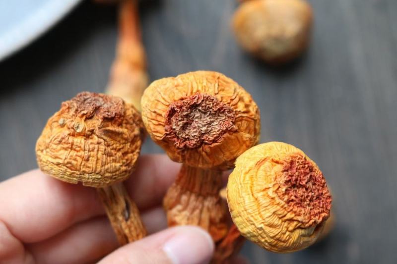 广州人A厂姬松茸食用菌菇蘑菇云南土特产干货