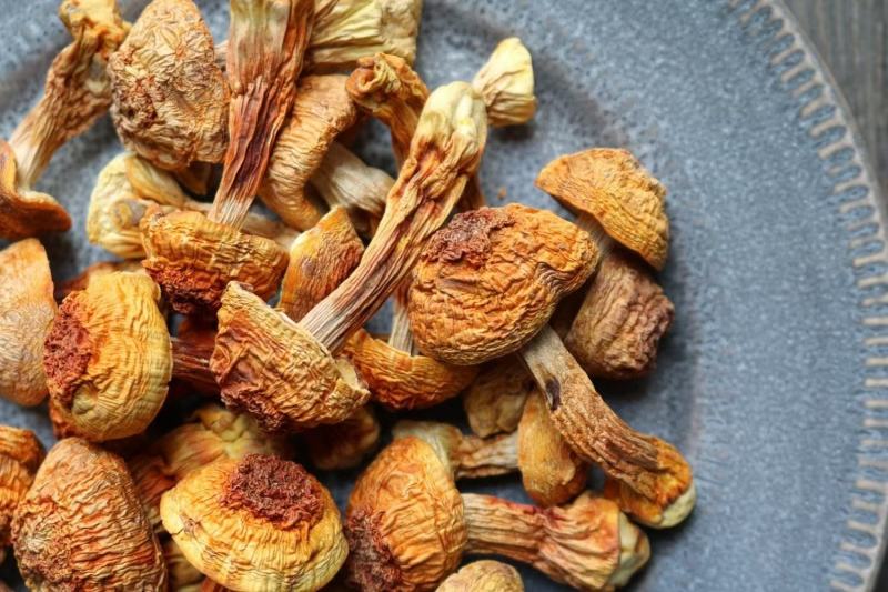 广州人A厂姬松茸食用菌菇蘑菇云南土特产干货