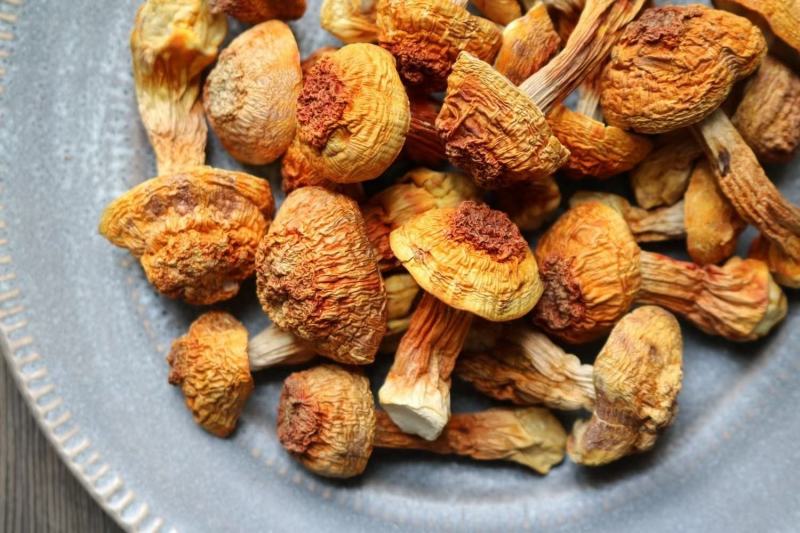 广州人A厂姬松茸食用菌菇蘑菇云南土特产干货