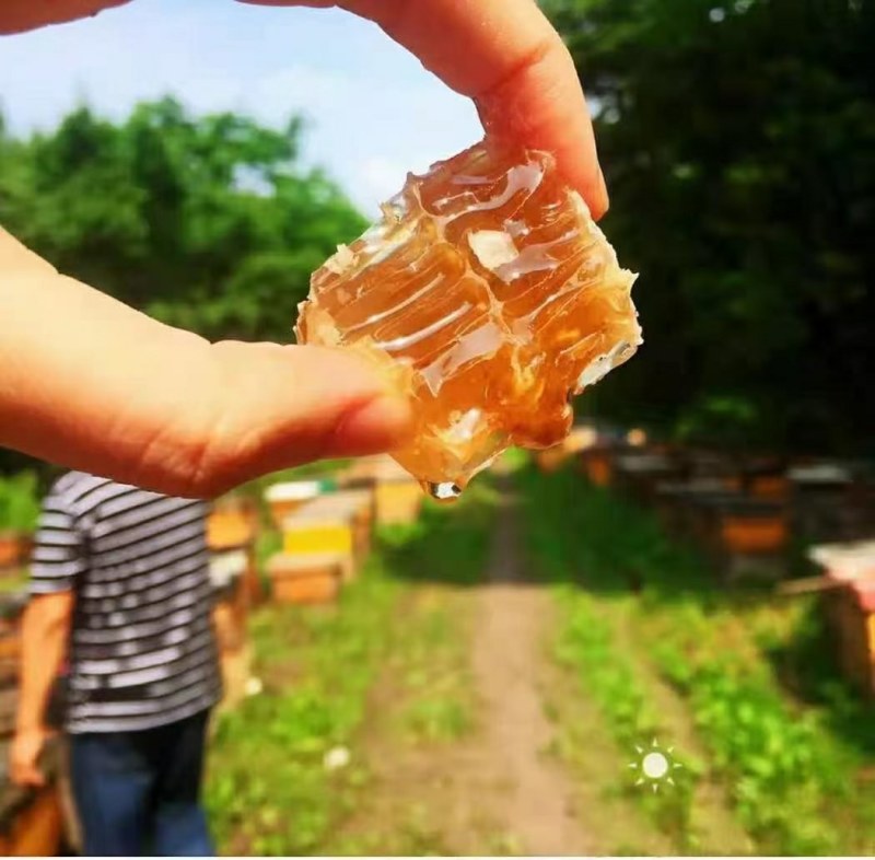 【精品批发】蜂巢蜜会展摆地摊跑江湖切割蜂蜜山花巢蜜