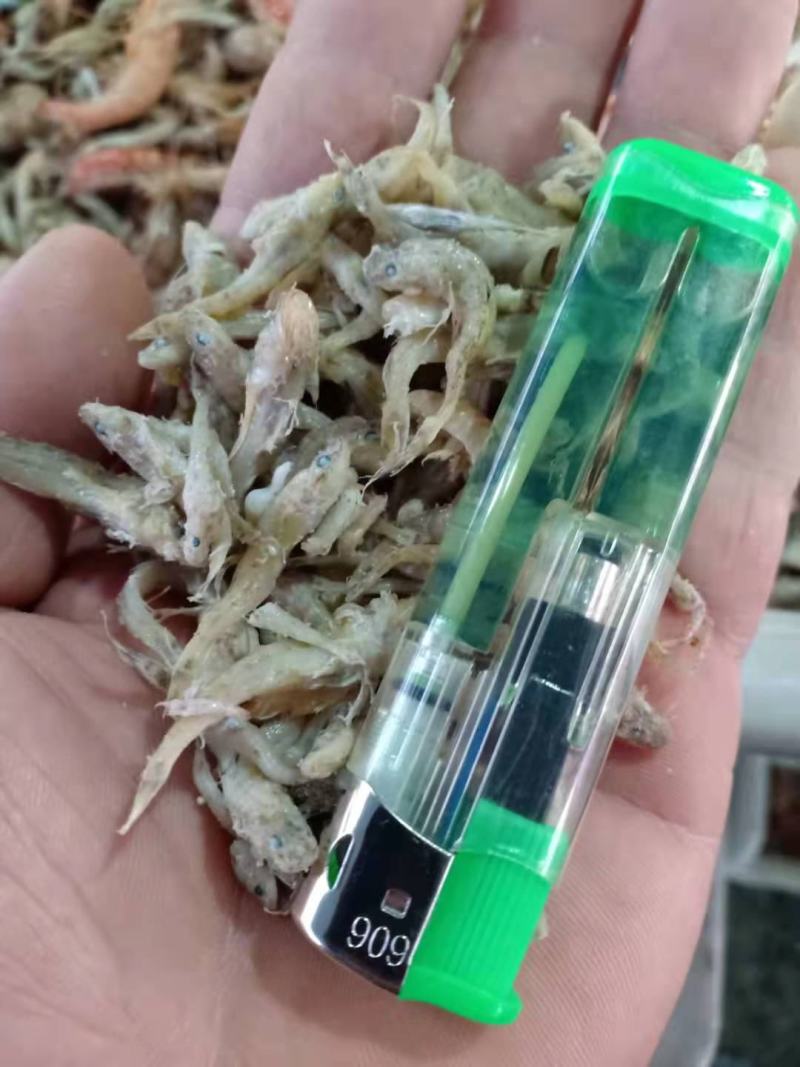 饲料小鱼喂虾蟹鱼食用油炸烘干盐干自家加工一手货源