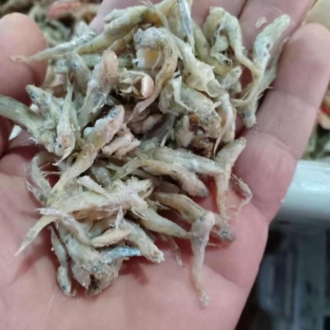 饲料小鱼喂虾蟹鱼食用油炸烘干盐干自家加工一手货源