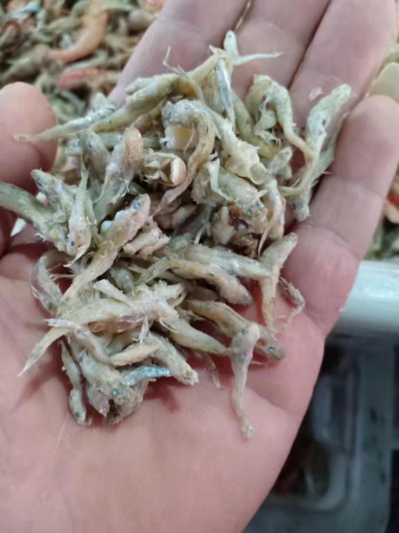 饲料小鱼喂虾蟹鱼食用油炸烘干盐干自家加工一手货源