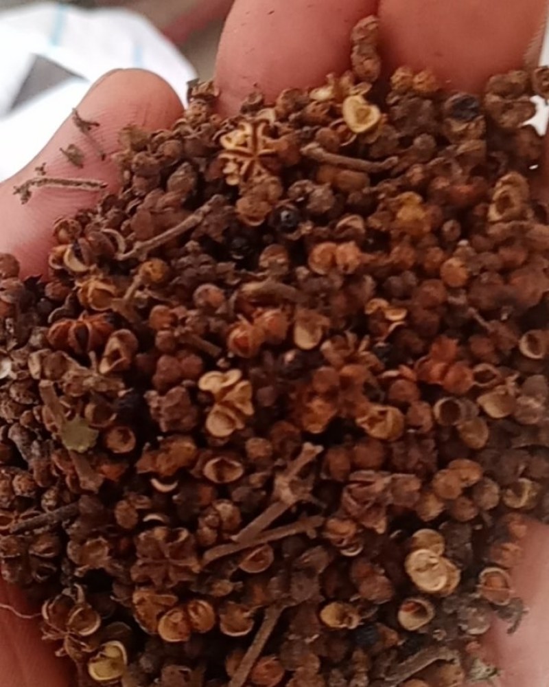 吴茱萸中花统全干无杂