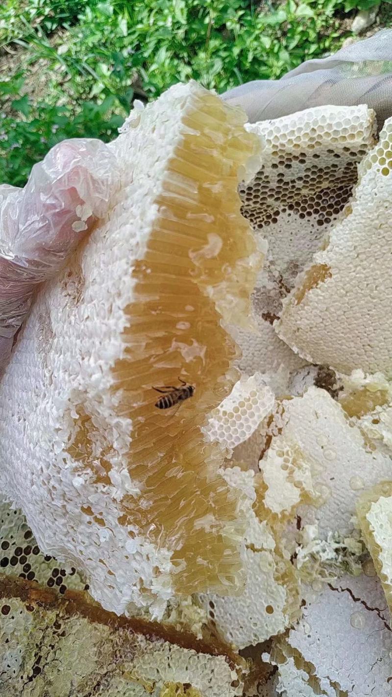 野生蜂蜜