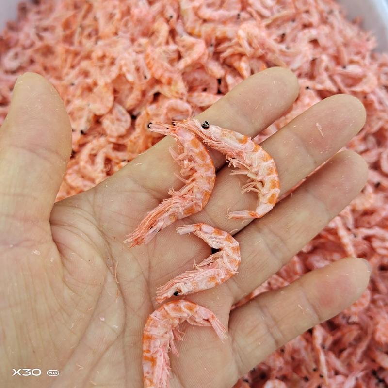 山东大板磷虾皮海米虾仁新货规格齐全保质保量！厂家直供